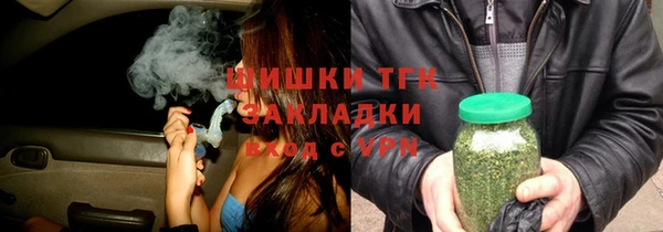 гидра Абаза
