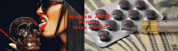 гидра Абаза
