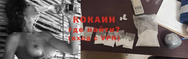 гидра Абаза