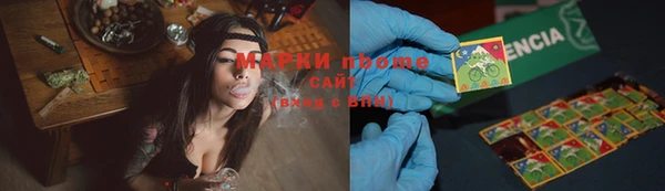 гидра Абаза