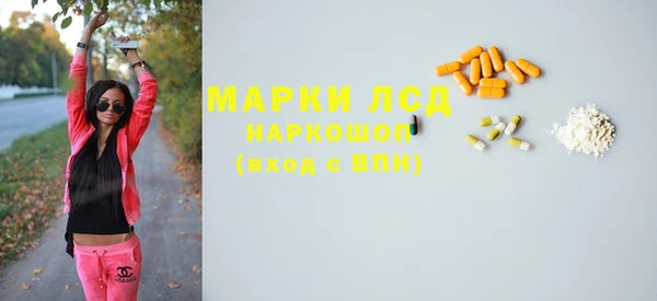 гидра Абаза