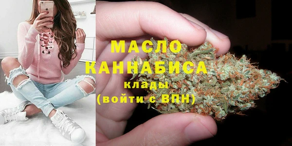 гидра Абаза