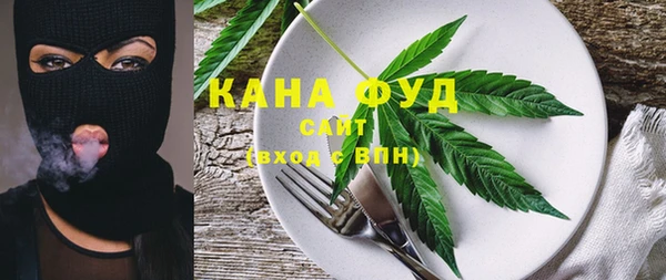 гидра Абаза