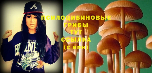 гидра Абаза